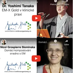 Přednášky z 1. EM konference se zahraničními hosty