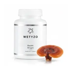 Výživa - Reishi Origin